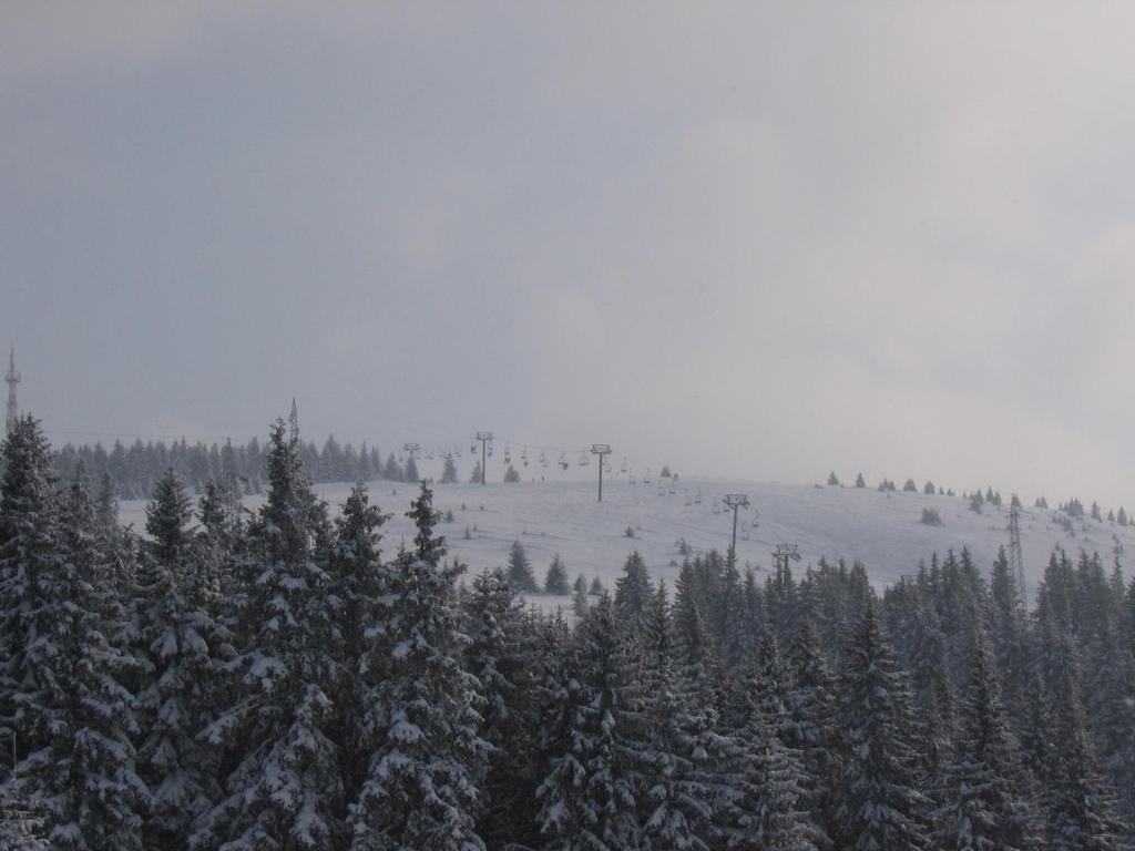 Villa Kostic Kopaonik Exterior foto